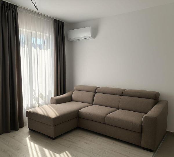 Berceni, Dimitrie Leonida, Biruintei,