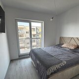 Berceni, Dimitrie Leonida, Biruintei